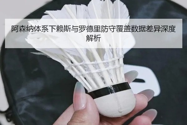 阿森纳体系下赖斯与罗德里防守覆盖数据差异深度解析