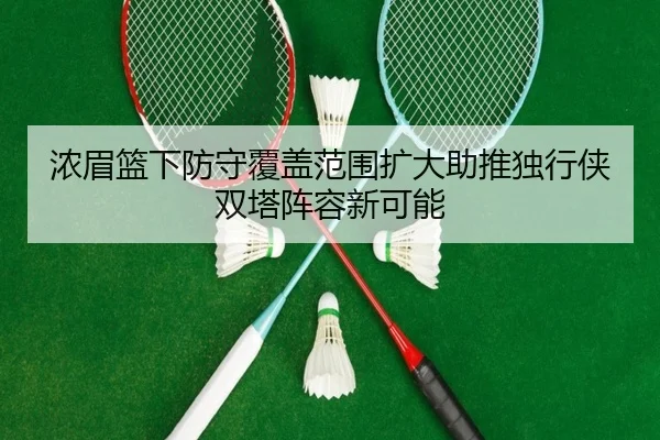浓眉篮下防守覆盖范围扩大助推独行侠双塔阵容新可能